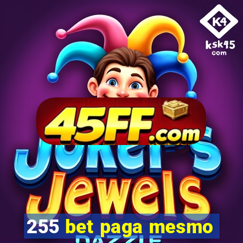 255 bet paga mesmo